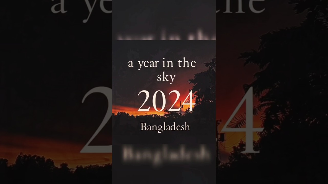 2024 in a glimpse 🌿✨ #YearInReview #Shorts