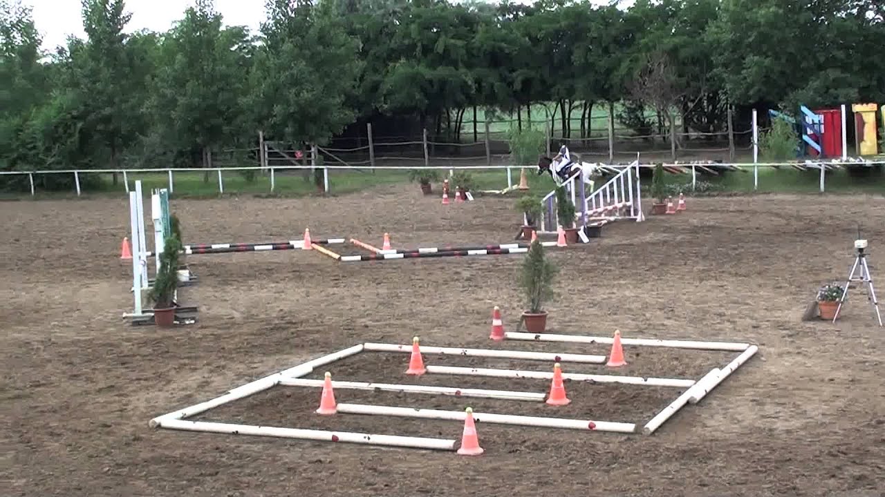 Ügyességi Nehéz kategória nyílt1 helyezett Rocky - Rády Anna