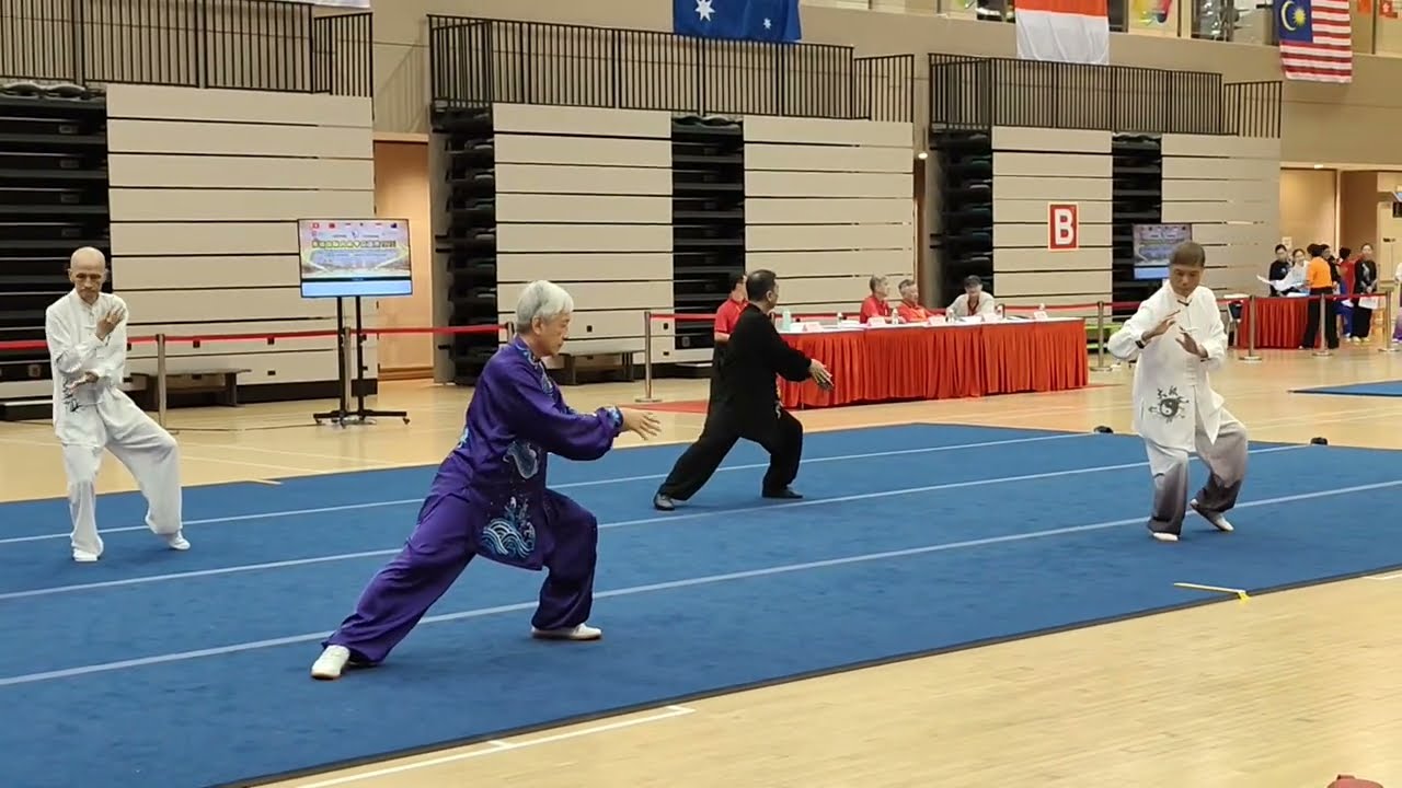 Chen Style Taijiquan Laojia 13 Form 陈式太极拳老架13式