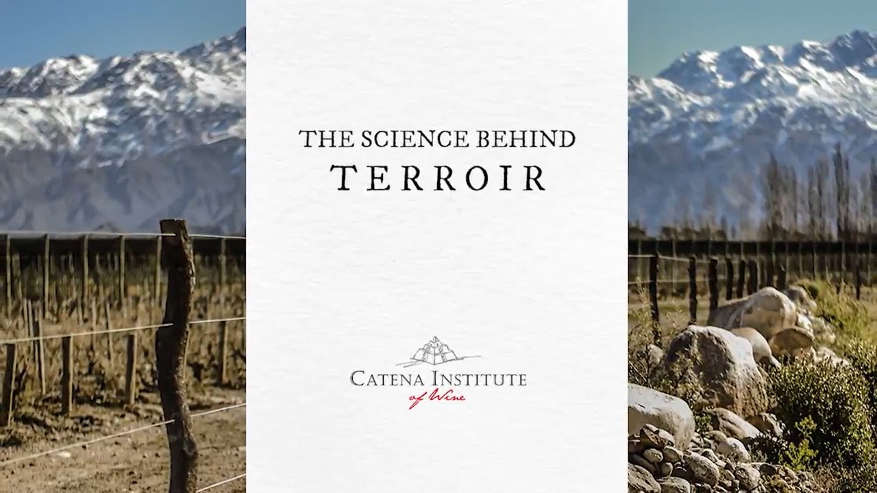 The Science Behind Terroir Webinar 5-Min Video