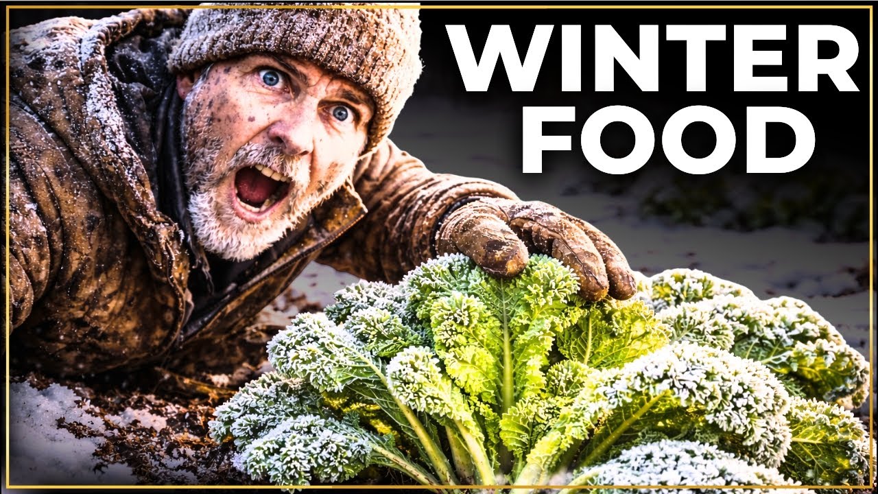 Plant Once, Feed Your Family Through Winter Forever: Why Don’t You Know About It?!