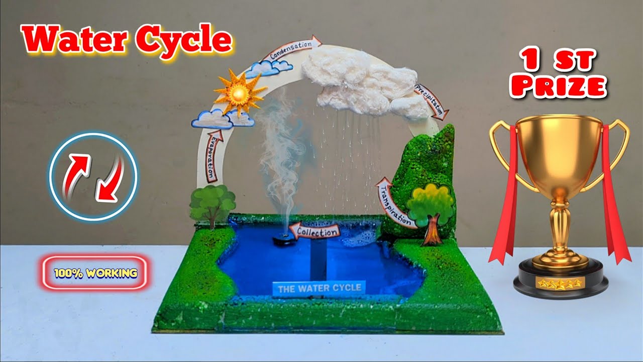 This REAL Working Water Cycle Model Looks Like Nature 🌧️☀️ | Award-Winning Science Project