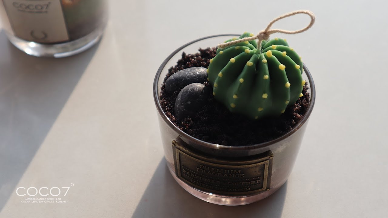 how to make a Cactus candle