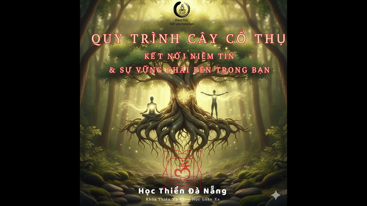QUY TRÌNH CÂY CỔ THỤ - KẾT NỐI VỚI NIỀM TIN VÀ SỰ VỮNG CHÃI BÊN TRONG BẠN