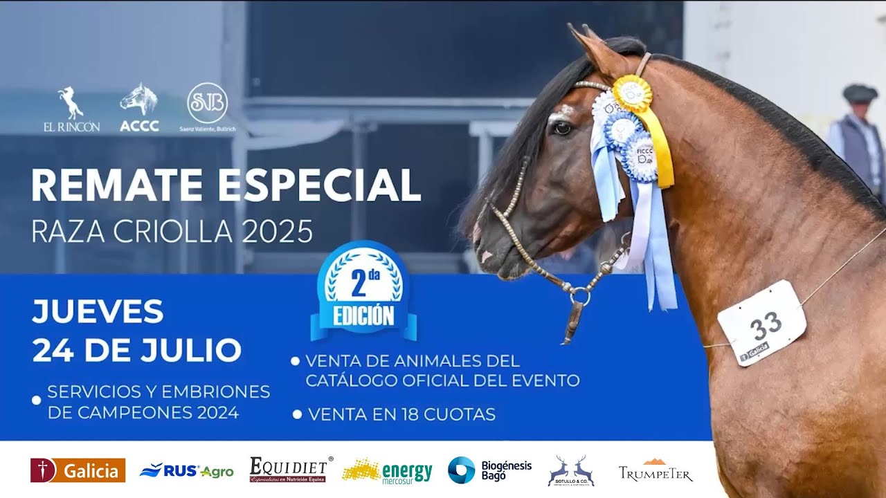 Cat&aacute;logo oficial - Remate Especial Palermo 2025 | Caballos Criollos