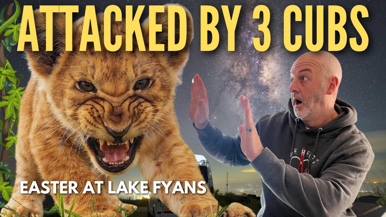 I was attacked by 3 Cubs