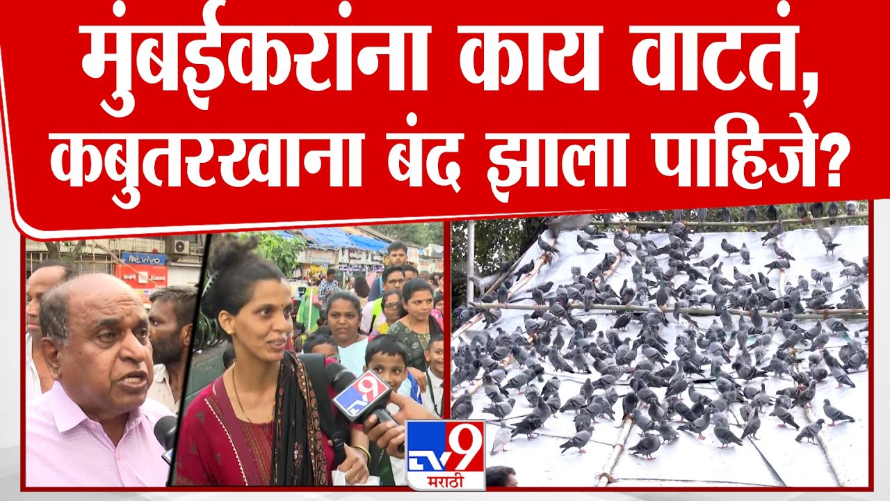 Mumbai Kabutarkhana | मुंबईकरांना काय वाटतं, कबुतरखाना बंद झाला पाहिजे?