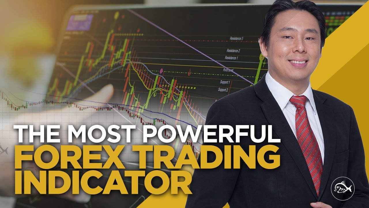 The Most Powerful Forex Trading Indicator by Adam Khoo