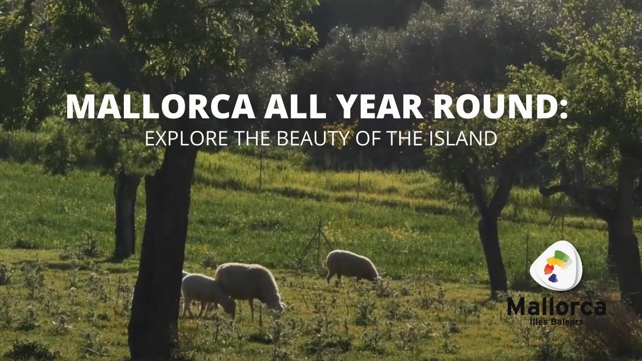 Spring in Mallorca - Explore the beauty of the island.