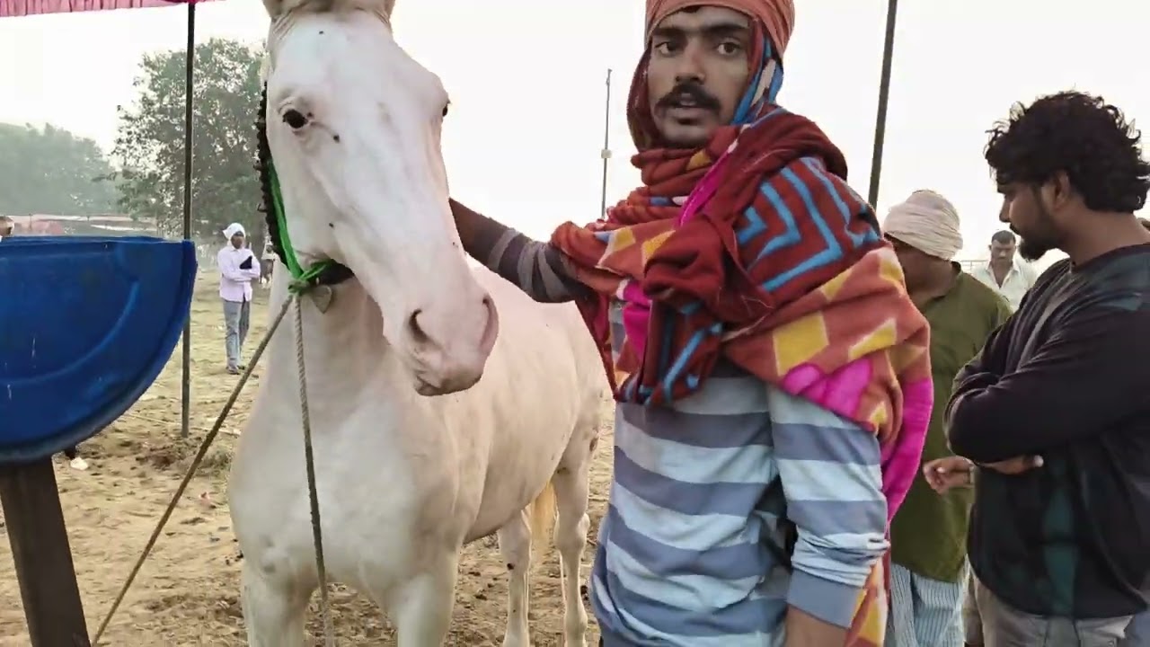 बटेश्वरमेला. माल बहुत कम है ज्यादा से ज्यादा आने की कोशिश करो नौकरी बच्चे 50000 तक मिल रहे हैं आनेकी