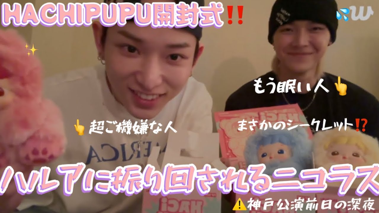 &TEAM ハルアに付き合わされる眠いニコラス🤣🤣HACHIPUPU開封式‼️