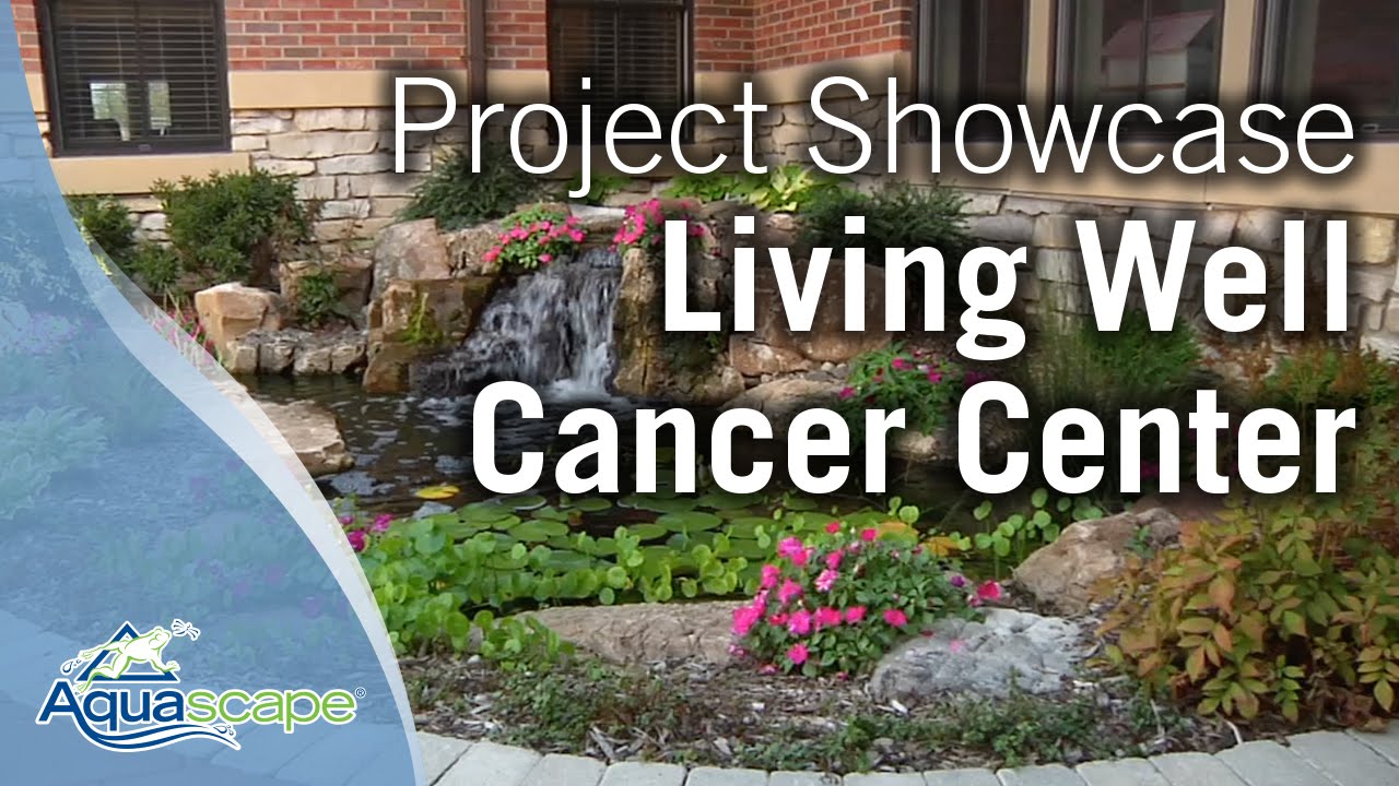 Aquascape Project Showcase - Living Well Cancer Center