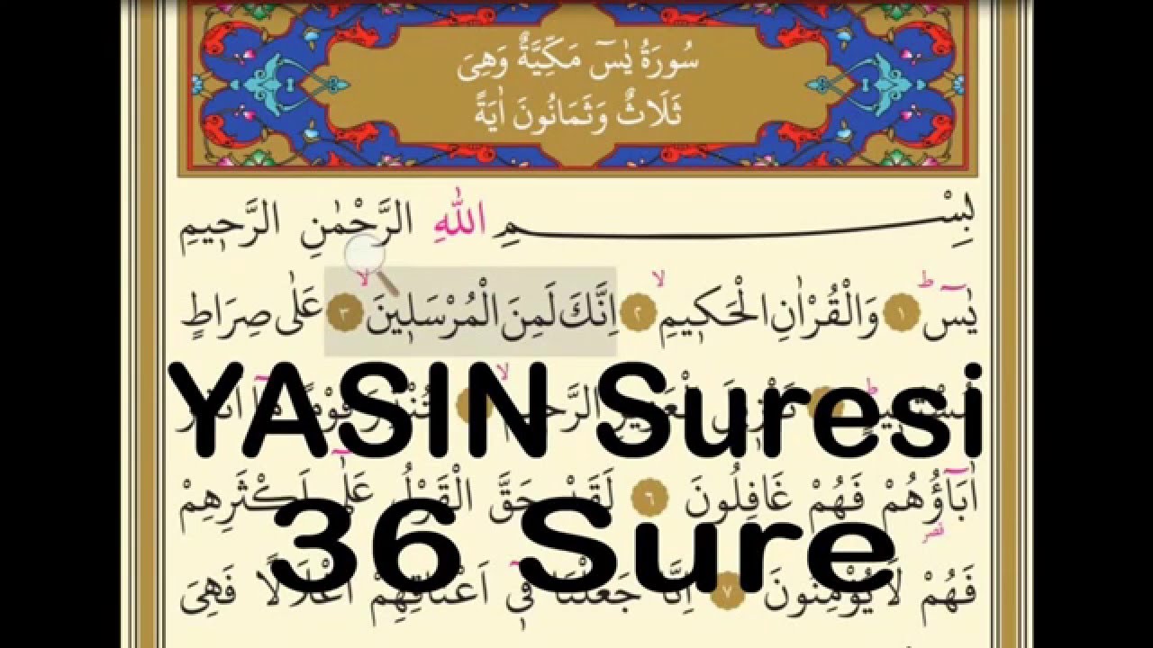 1 okunusta 41 Yasin-i Serif Kuran-i Kerim - www.mdost.tr.gg