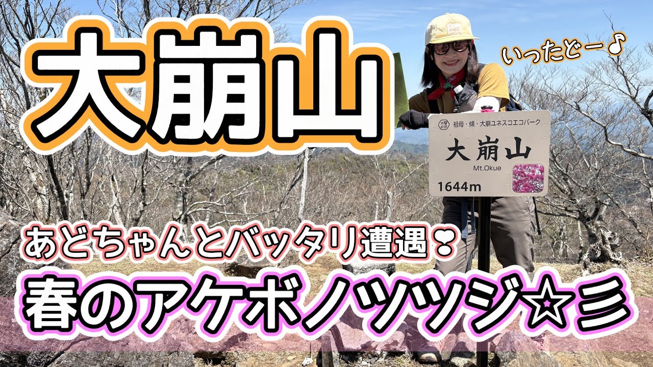 【九州百名山：大崩山】お手軽にアケボノツツジを楽しめるコース🌸絶景が広がる圧巻の景色⭐あどさんとバッタリ遭遇✨テンション爆上がりいただきました🤗
