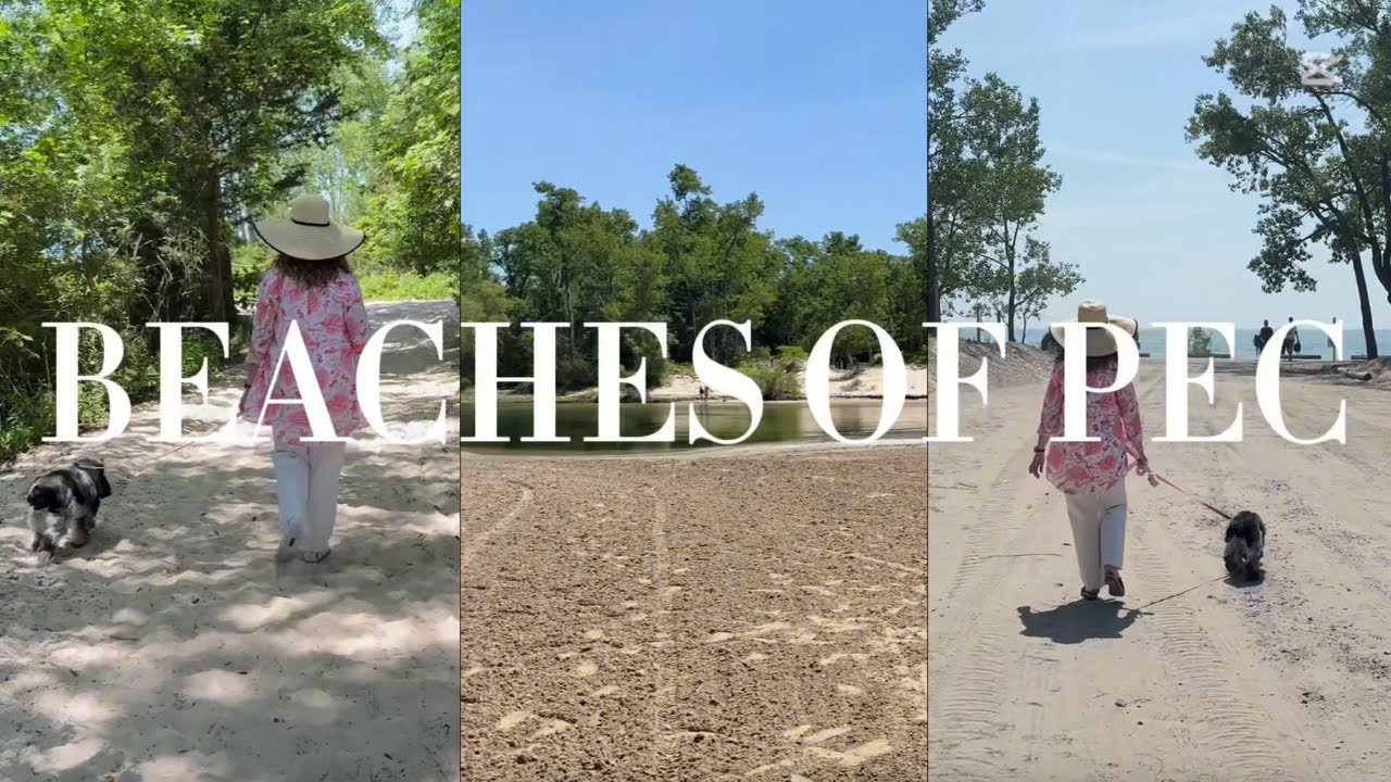 The Beaches of Prince Edward County