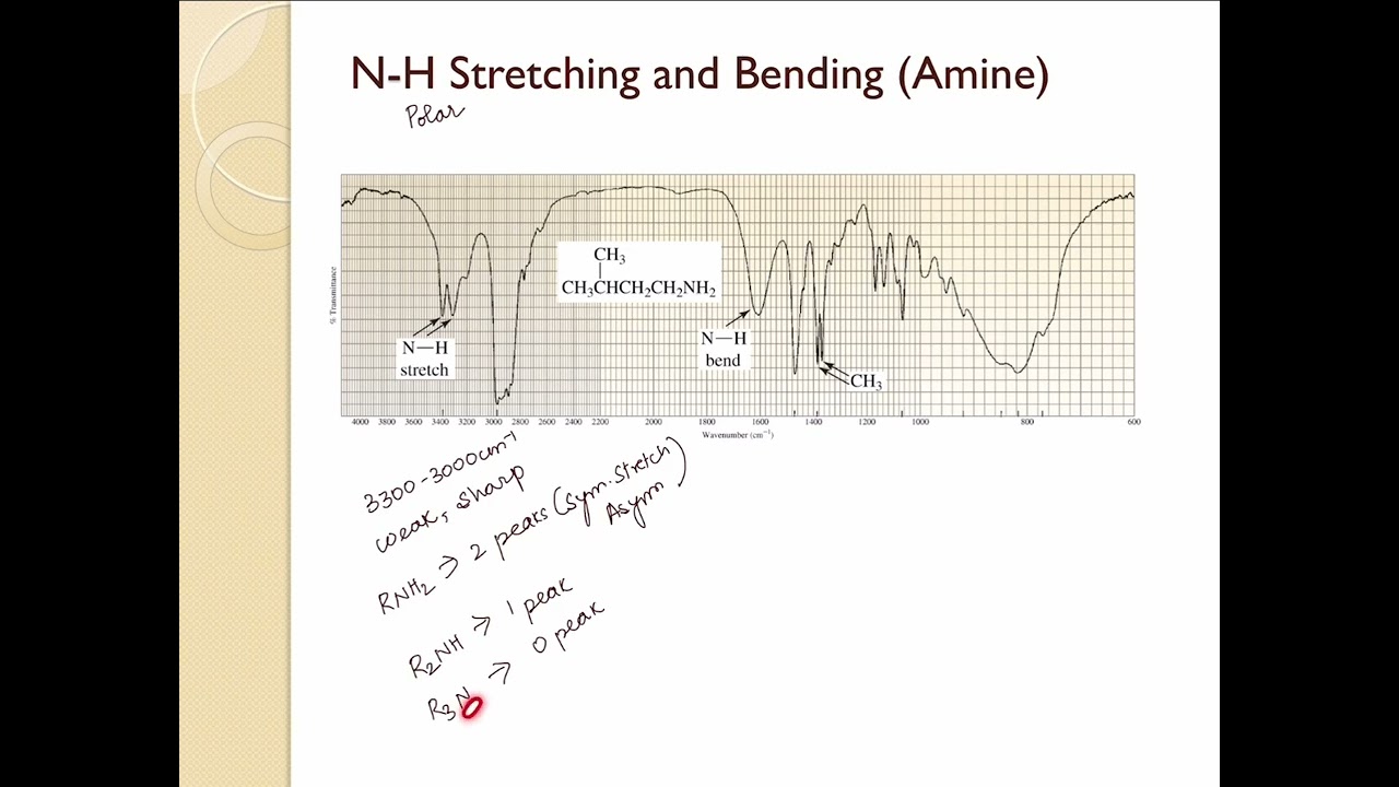 N-H Stretching and Bending Vibrations