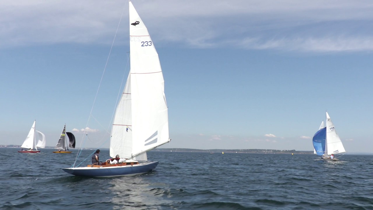 SAILING BREST   |  🦈 ⛵ Requins en Baie de Roscanvel - BRETAGNE Télé