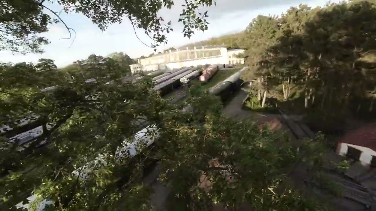 Durch den Baum im Frühling - DJI Avata