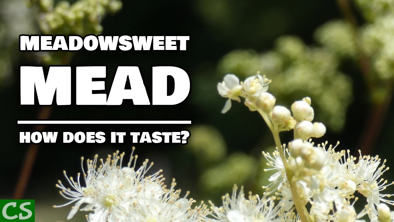 Meadowsweet Mead Tasting - Something Surprising Happened!