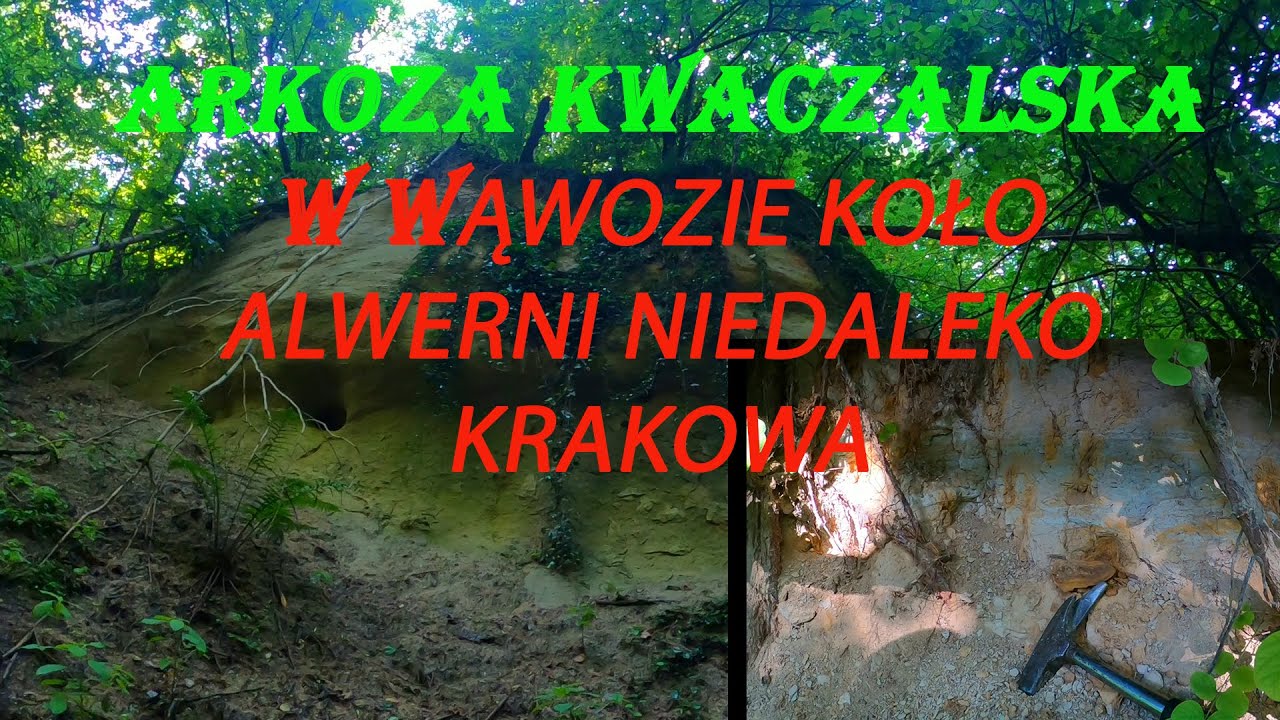 ARKOZA KWACZALSKA WĄWÓZ NIEDALEKO ALWERNI KOŁO KRAKOWA