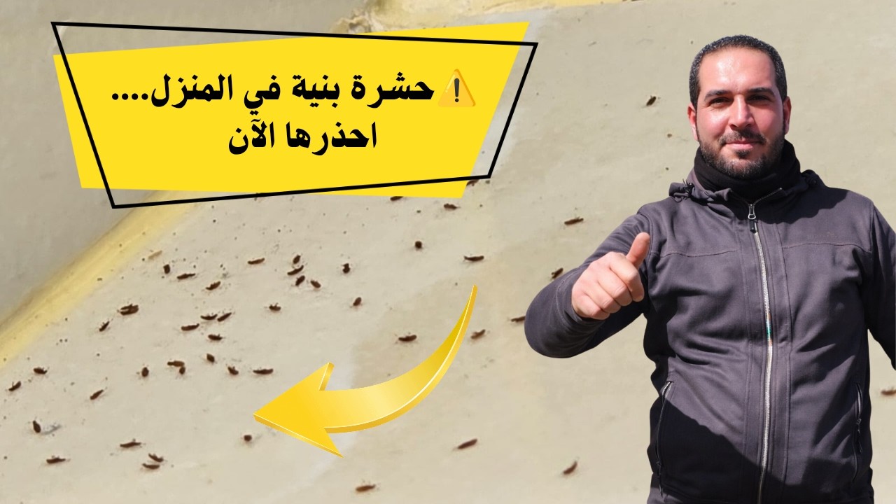 ⚠️ حشرة بنية صغيرة في المنزل احذرها الآن ؟؟ مش معقول شو هي