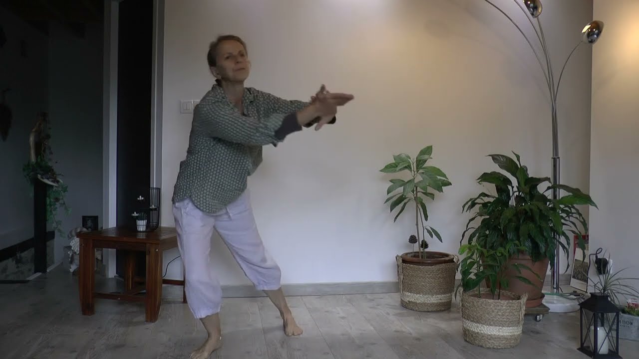 les 6 premiers enchaînements du Dao Yin