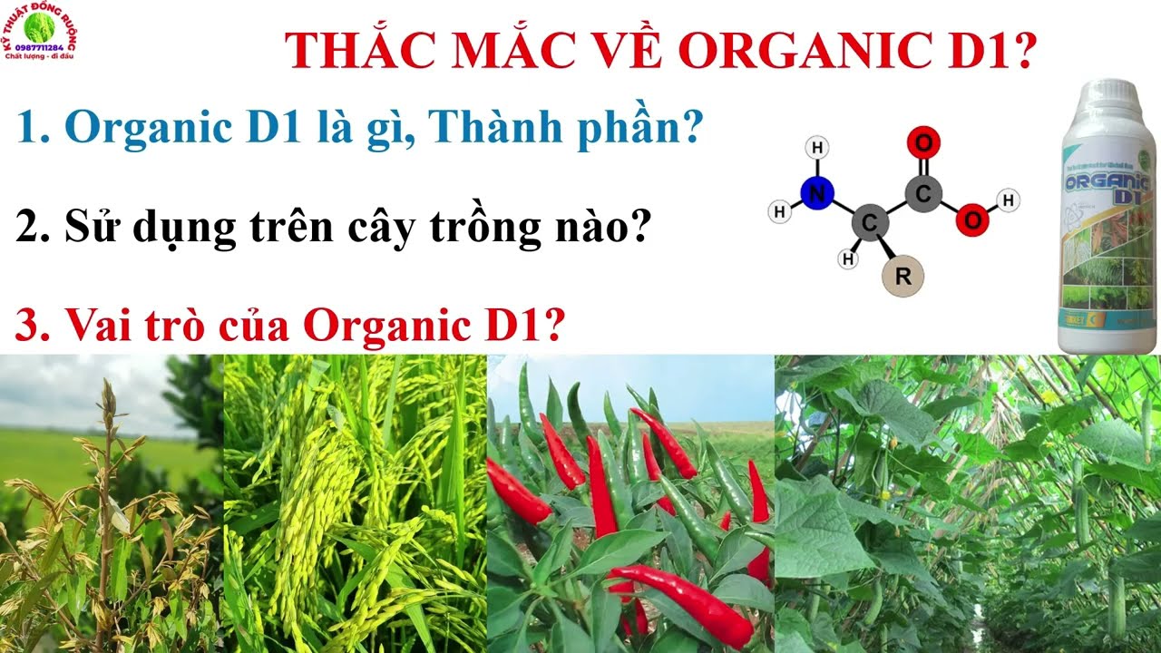 Thắc mắc về Organic D1/ Sử dụng Organic D1 giảm phân bón gốc