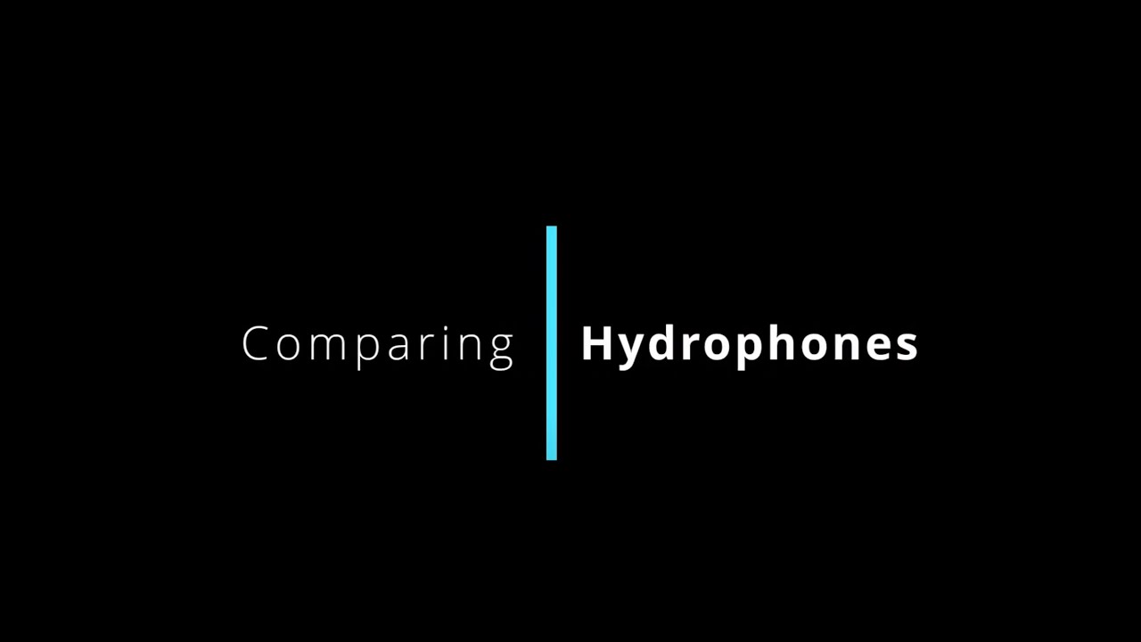 Comparing Hydrophones. Part 2 - Plant Photosynthesis.