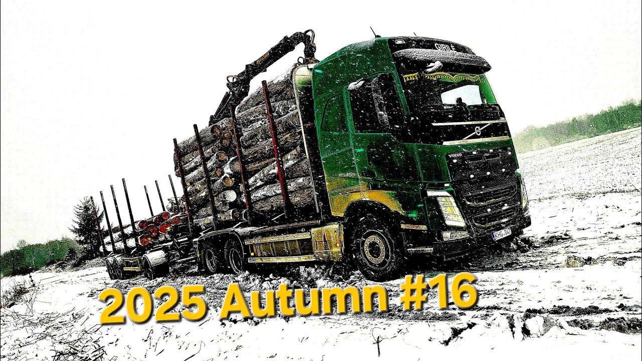 2025 Autumn #16. Snygis... Klampynės... Turbina...