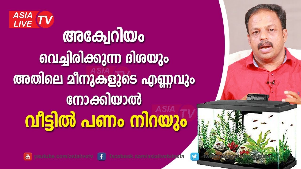 അക്വേറിയം വെച്ചിരിക്കുന്ന ദിശയും മീനുകളുടെ എണ്ണവും നോക്കിചെയ്താൽ  | 9745094905 | Feng shui