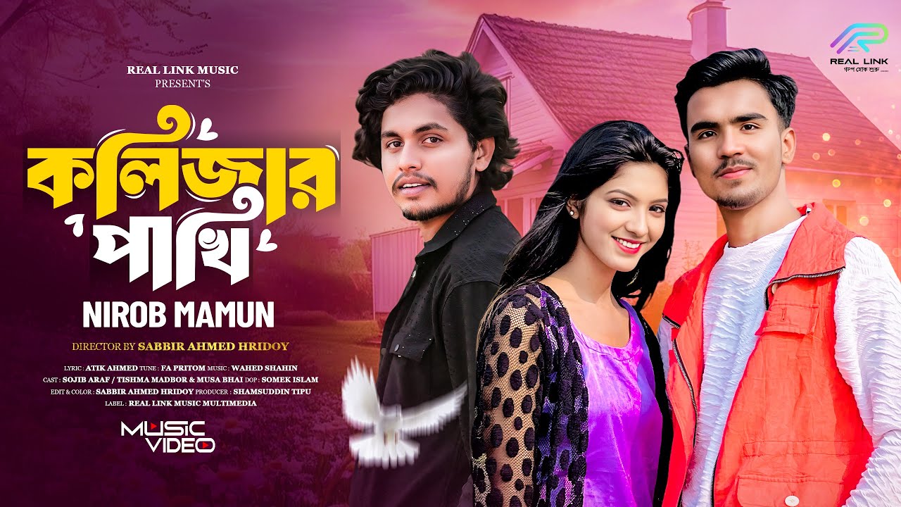কলিজার পাখি || Kolizar Pakhi || Nirob Mamun || Real Link Music ||  Bangla New Song  2025