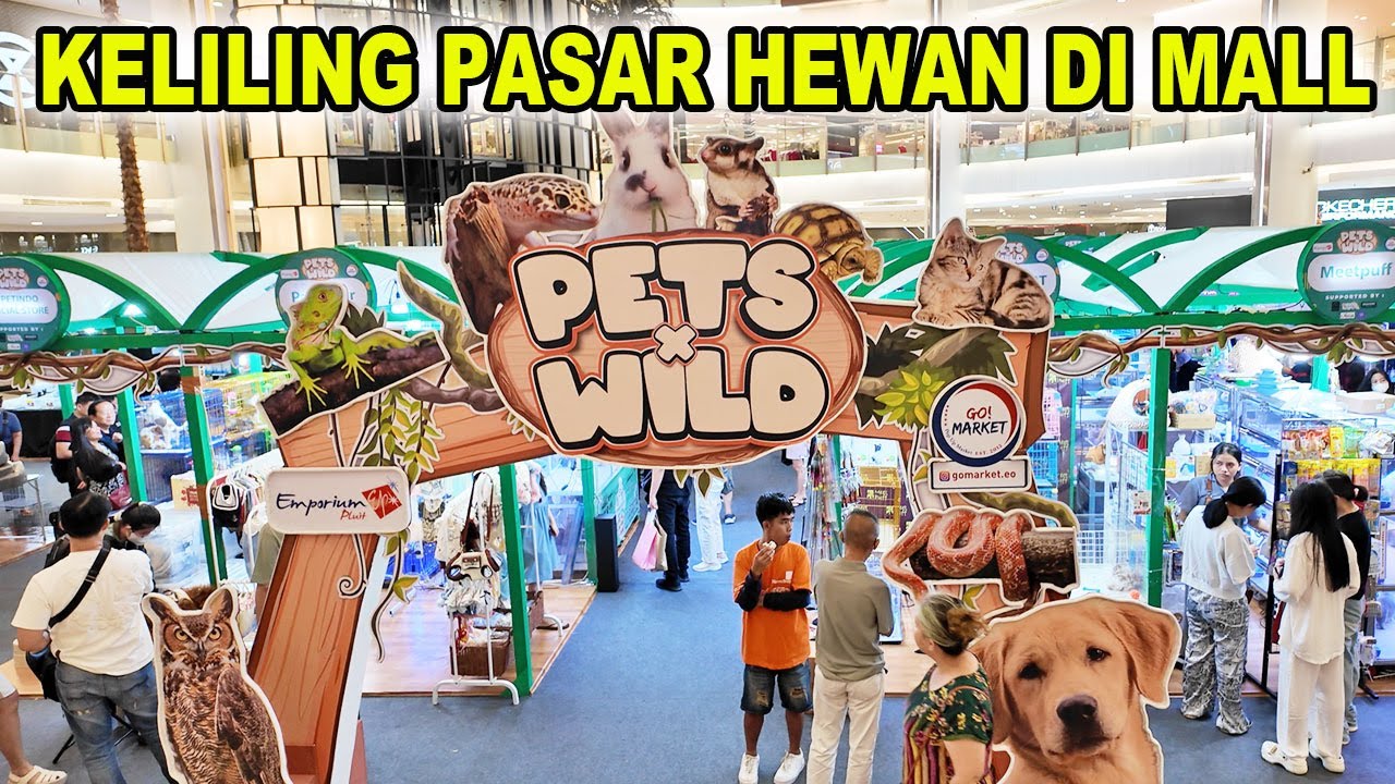 Pasar Hewan Peliharaan Di Mall Pluit