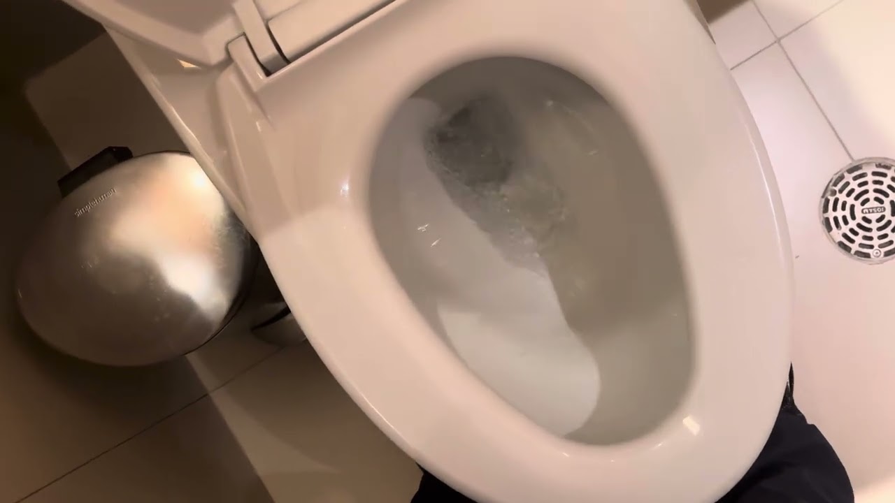 Toto Ultramax Toilet