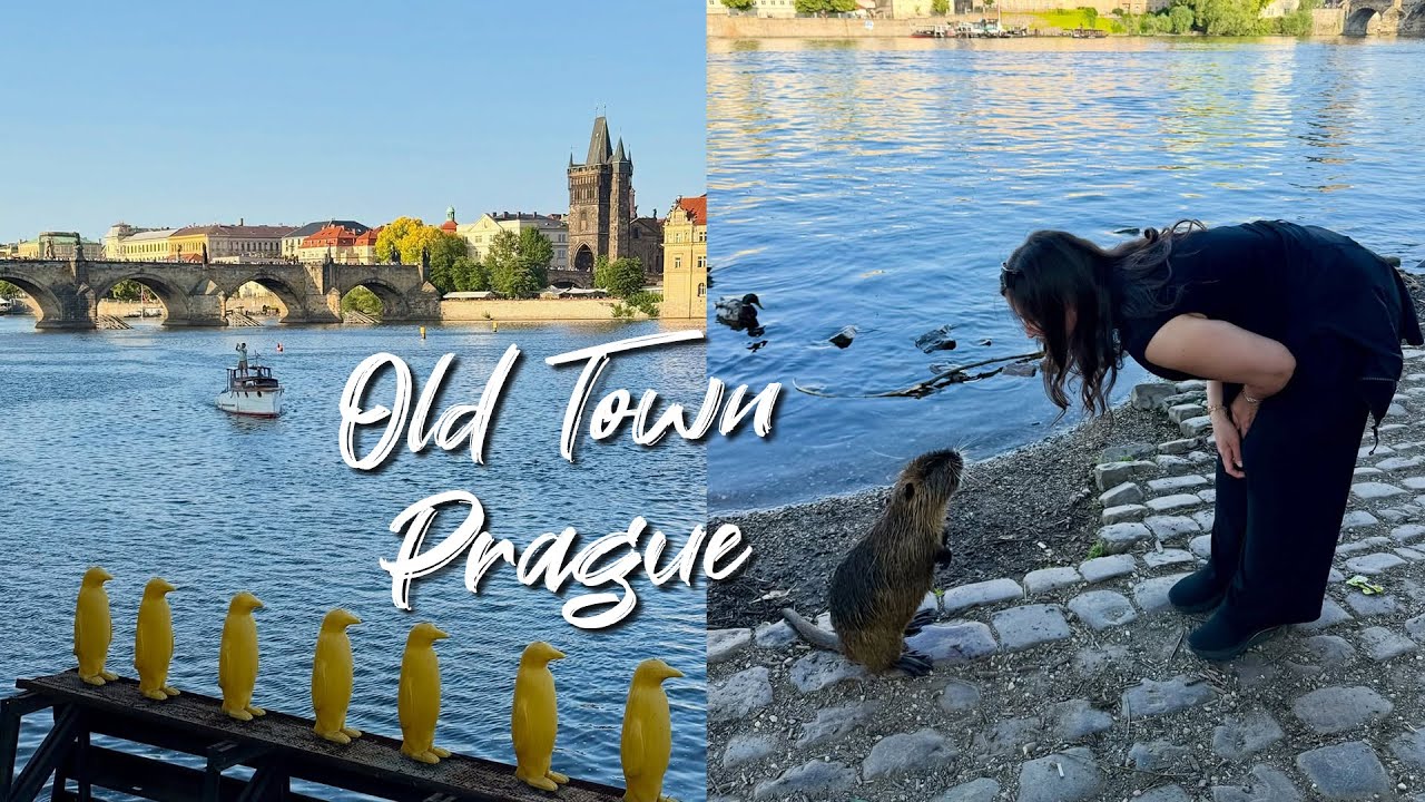 Old Town Prague To Kampa Island!