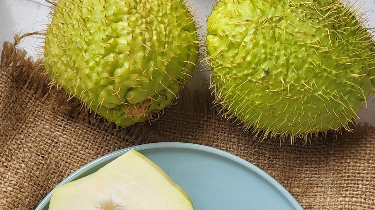 Si pastrohet chayote me gj&euml;mba?