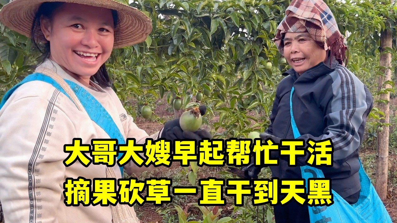 老撾大哥大嫂早起幫忙工作，摘果砍草乾到天黑，晚上做火鍋犒勞他們！