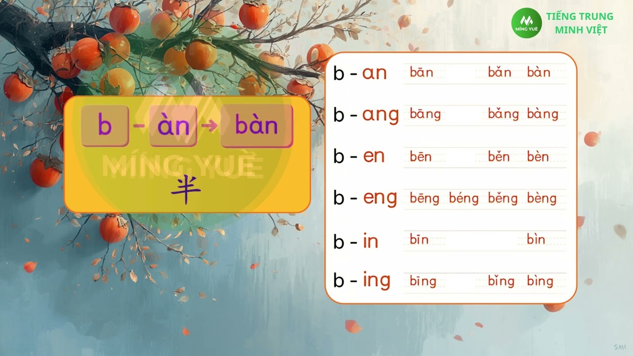 Bài 2: Thanh mẫu B kết hợp toàn bộ vận mẫu | Luyện phát âm Pinyin cho người mới bắt đầu