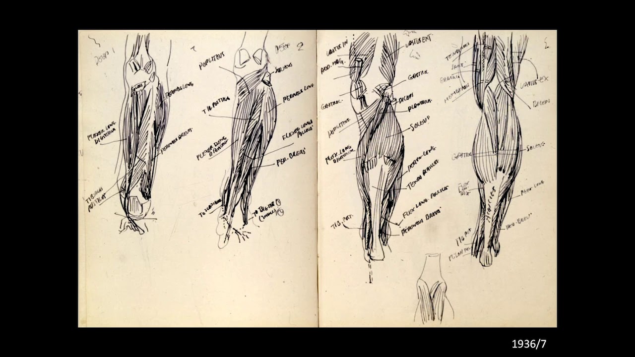 Live at the Archive: Naomi Games on the Life and Design of Abram Games