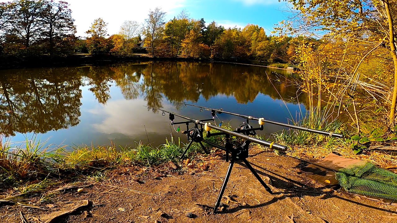 Rychlá aktivní kaprařina. Jednoduché, rychlé chytání ryb s method krmítkem a mini boilie či popkami
