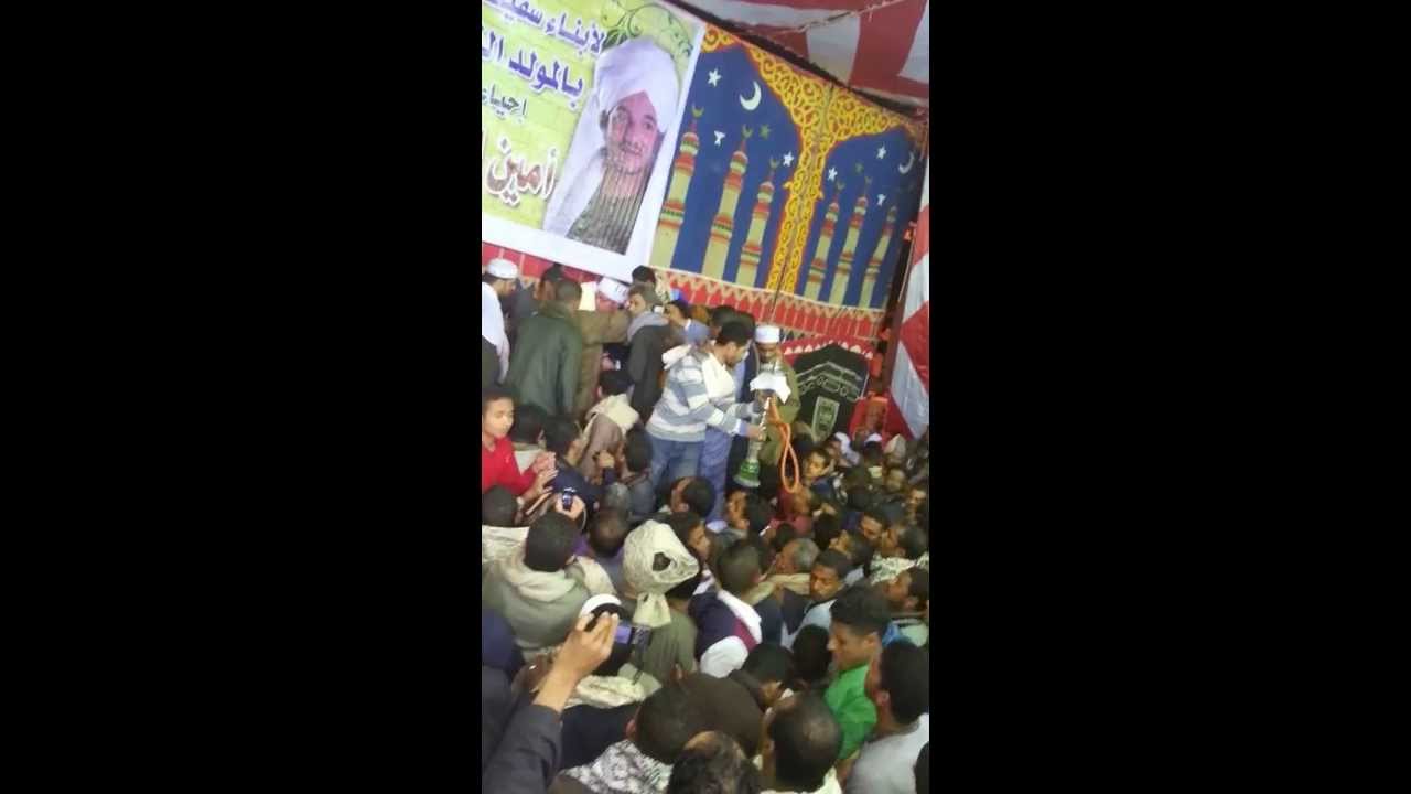 السيد عفيفى العربى والشيخ امين الدشناوى 2014 ج1