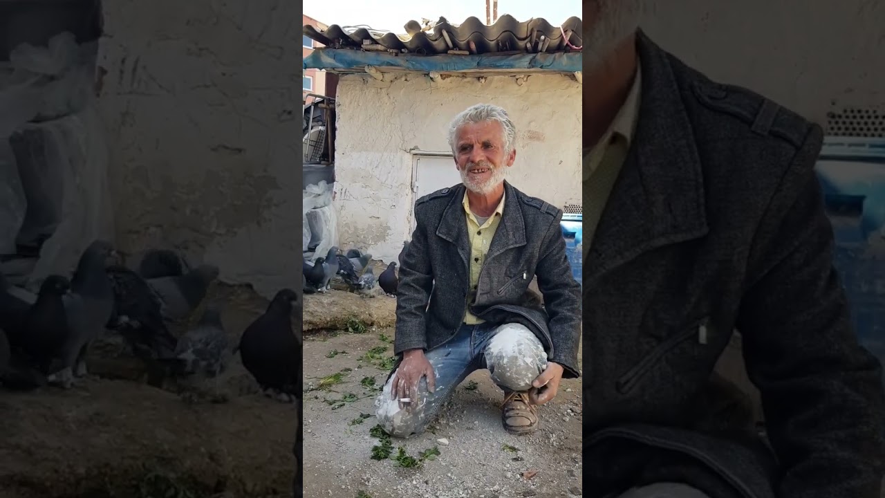 Salih Akyürek İle Oyun Kuşu Sohbeti İnce Bilgiler