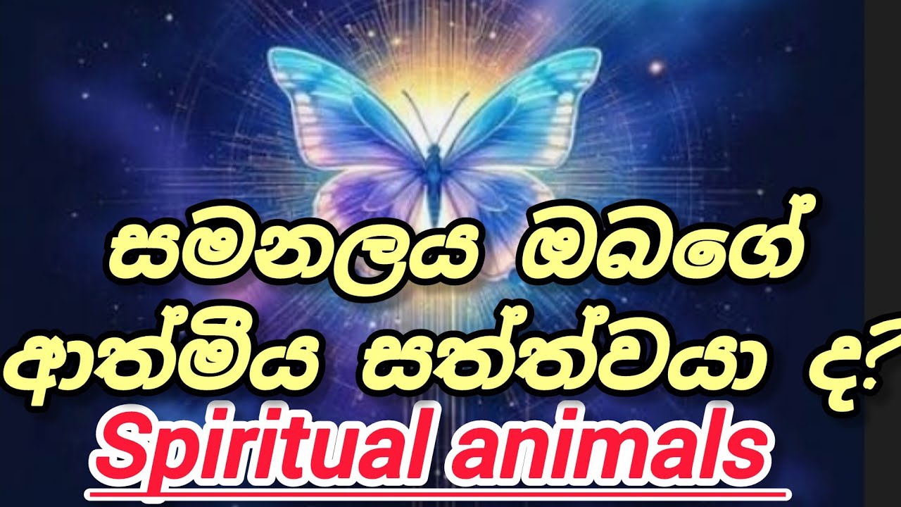 සමනලය ඔබගේ ආත්මීය සත්ත්වයා බව දැනගන්නේ කෙසේද? 