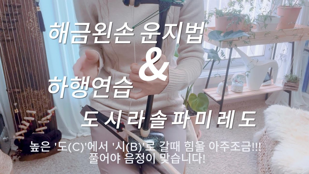 [2단계 2주차] 왼손 운지법 하행연습 '도시라솔파미레도' | Haegeum lesson