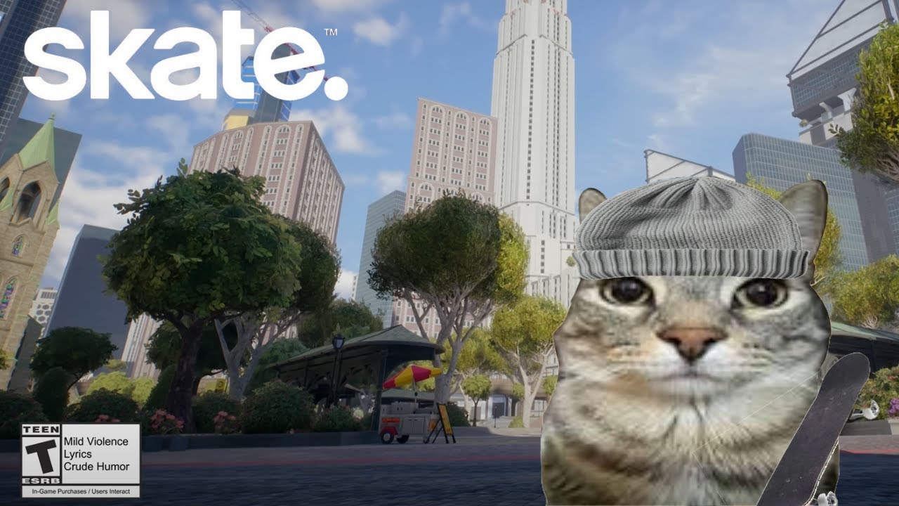The skate experience