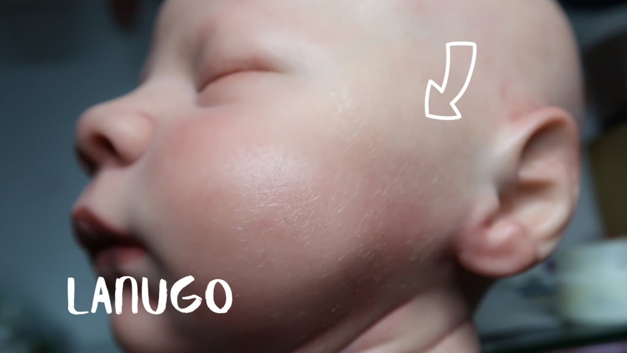 Como poner Lanugo a un bebé reborn