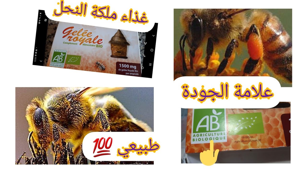 غذاء ملكات النحل😋la gelée  royale  👍رفع المناعة💫 زيادة الوزن 😊طبيعي💯
