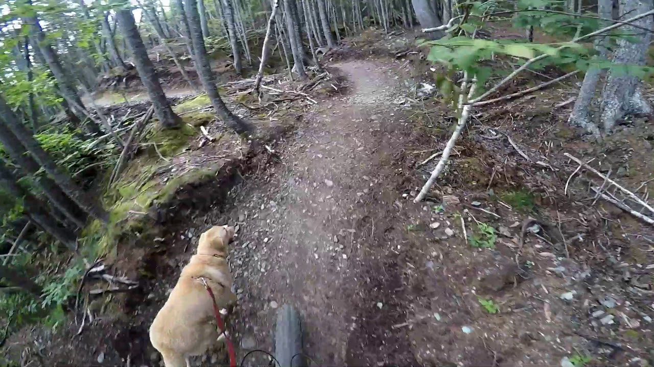 Fatbiking Goose River Trail