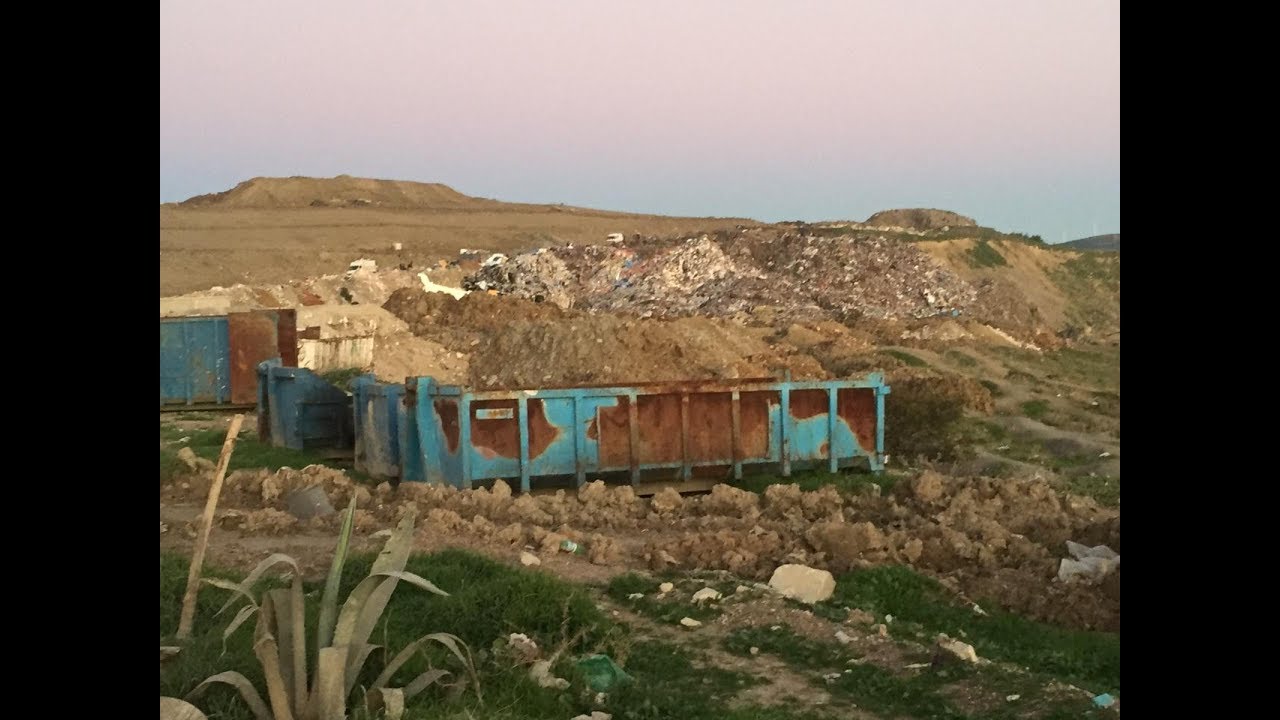 مطرح عشوائي 