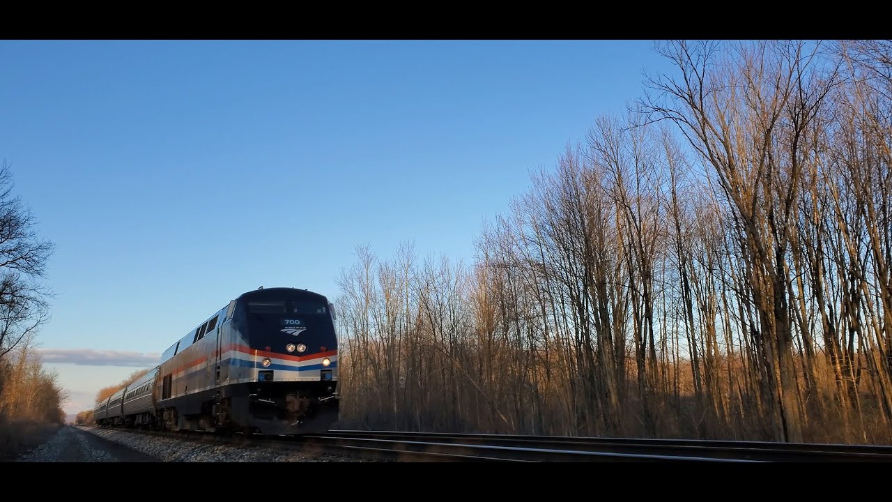 Amtrak Trains Galore!!