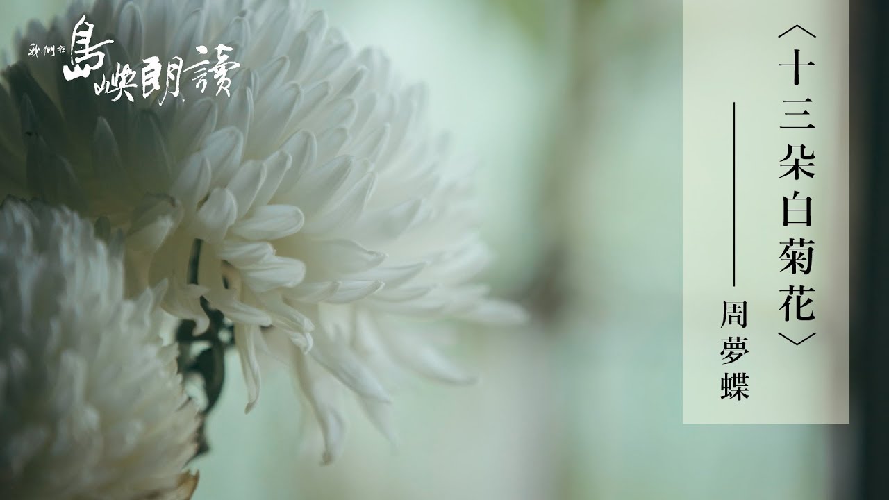 周夢蝶〈十三朵白菊花〉